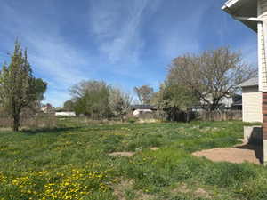 View of grassy yard