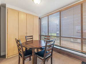Dining room featuring healthy amount of natural light, light colored carpet, and a textured ceiling