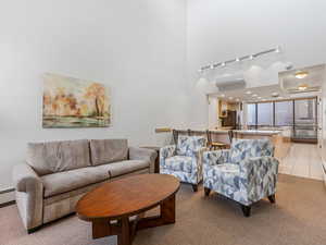 Living room featuring track lighting, light carpet, a high ceiling, and light tile patterned flooring