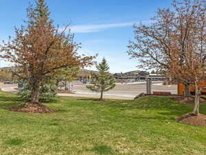 View of grassy yard