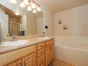 Double vanity featuring light wood-finish cabinetry, dual sinks, and an expansive mirror