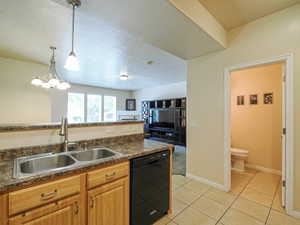 Kitchen features a double basin stainless steel sink with a high-arc faucet, wood-finish cabinetry, and a black dishwasher