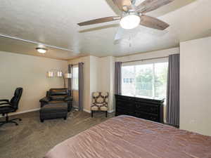 Spacious room featuring neutral carpeting, a modern ceiling fan with wood-finish blades, and large windows with blinds and drapes
