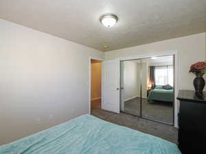 Bedroom featuring neutral wall paint, textured ceiling, and gray carpet flooring