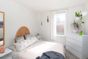 Primary bedroom with carpet, a closet, and lots of natural light.