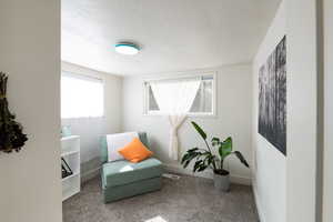 Carpeted bedroom with lots of natural light.