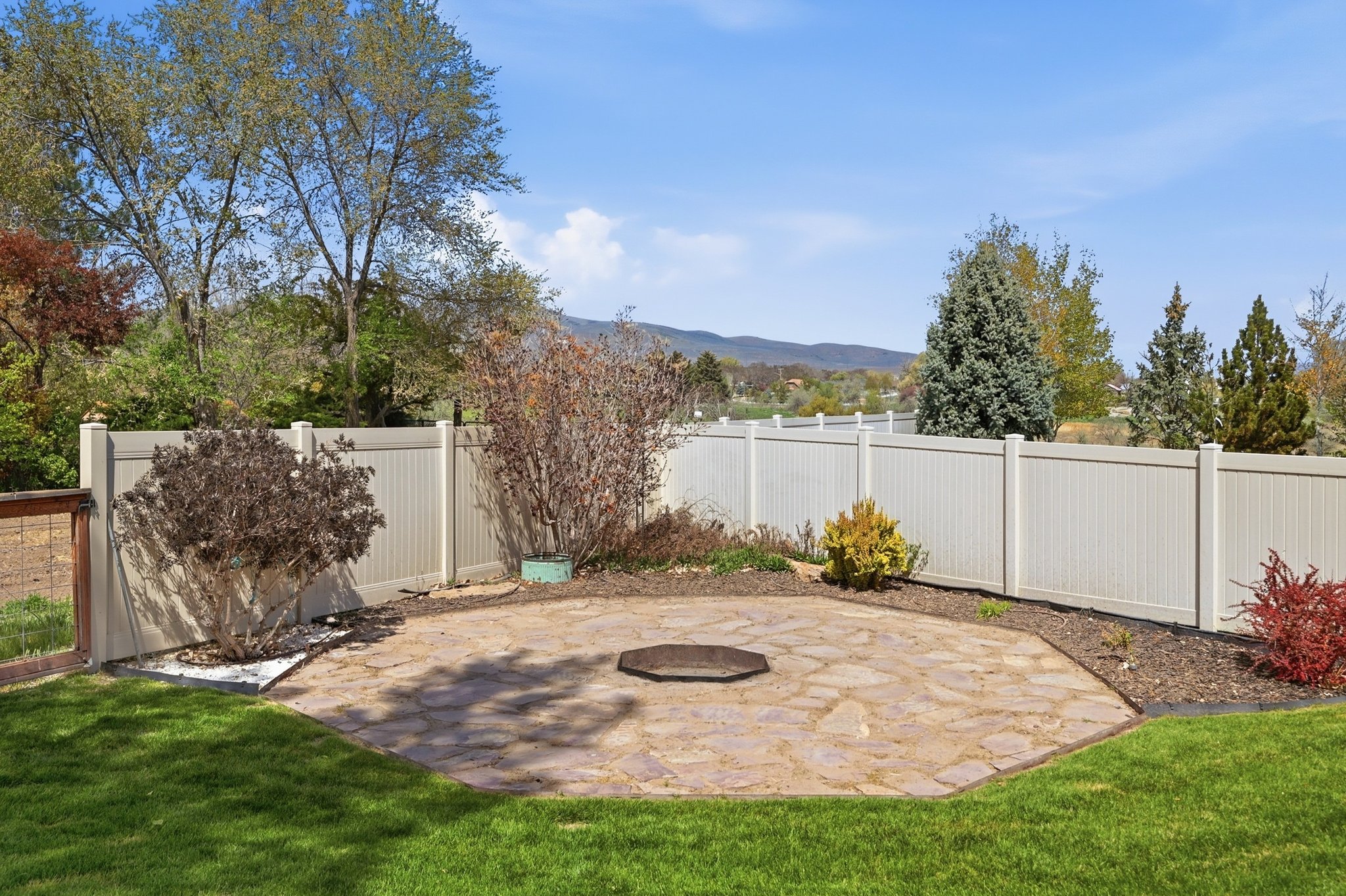 Backyard featuring a stone patio area with a fire pit, surrounded by a manicured lawn and mature shrubs