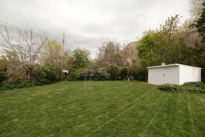 View of green lawn with a storage shed