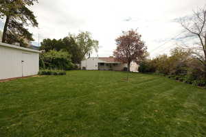 View of grassy yard featuring a patio and an outbuilding
