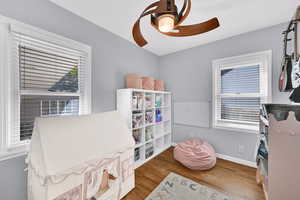 Rec room featuring wood finished floors and ceiling fan