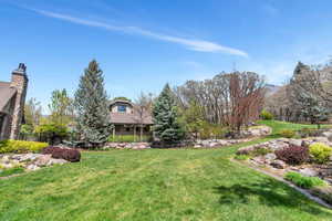 View of grassy yard