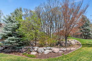 View of grassy yard