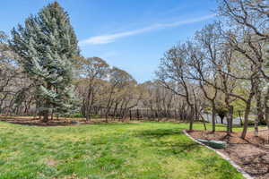 View of green lawn featuring view of wooded area