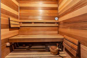 Sauna / steam room with wood walls