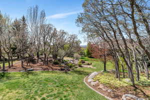 View of green lawn