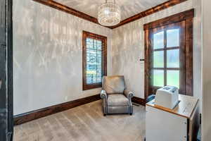 Sitting room with hanging lights and carpet