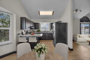 Kitchen featuring lofted ceiling, a peninsula, stainless steel appliances, light wood-type flooring, and plenty of natural light