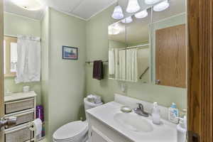 Ensuite bathroom featuring vanity and a shower with curtain