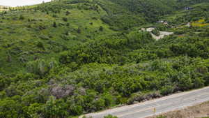 Bird's eye view of a heavily wooded area