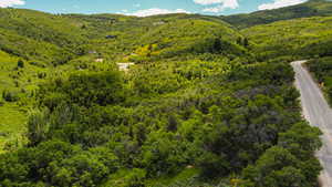 View of mountain backdrop featuring a heavily wooded area