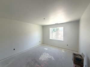 Photos of another home in the subdivision during construction