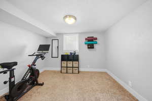 Exercise area or spare bedroom