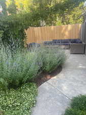 From previous year when more in bloom