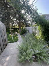 From previous year when more in bloom