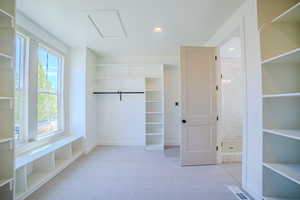Walk in closet with light colored carpet