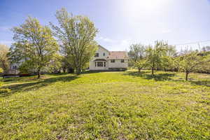 View of green lawn