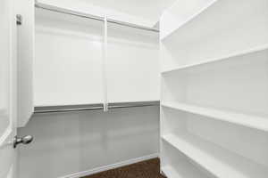 View of walk in closet