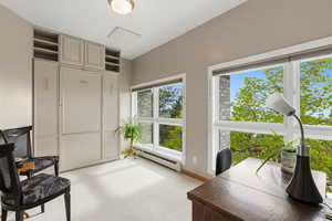 Murphy bed bedroom with European closet