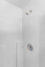 Bathroom view of a tile shower