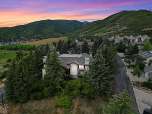 View of mountain background with a tree filled landscape