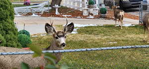 Wildlife up close!