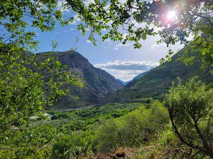 Beautiful mountain valley landscape featuring lush green foliage, and distant peaks under a bright sky