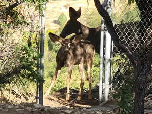 DOE!!