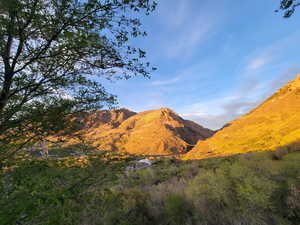 Relaxing mountain scenery with abundant natural foliage and a clear blue sky