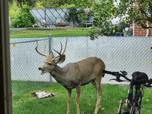 Buck asking to borrow bike...maybe?