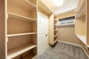 Walk in closet featuring light colored carpet
