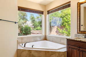 Bathroom featuring vanity, a garden tub, and plenty of natural light