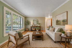 Living room featuring light wood-type flooring, a textured ceiling, and ornamental molding