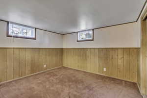 Below grade area featuring carpet floors, wooden walls, and wainscoting