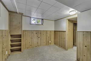 Basement featuring wood walls, carpet, and a wainscoted wall