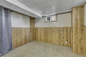 Below grade area with wooden walls and carpet floors