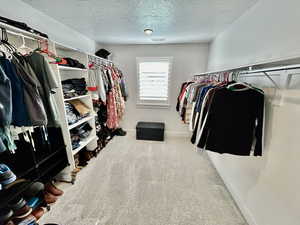 Walk in closet with light colored carpet