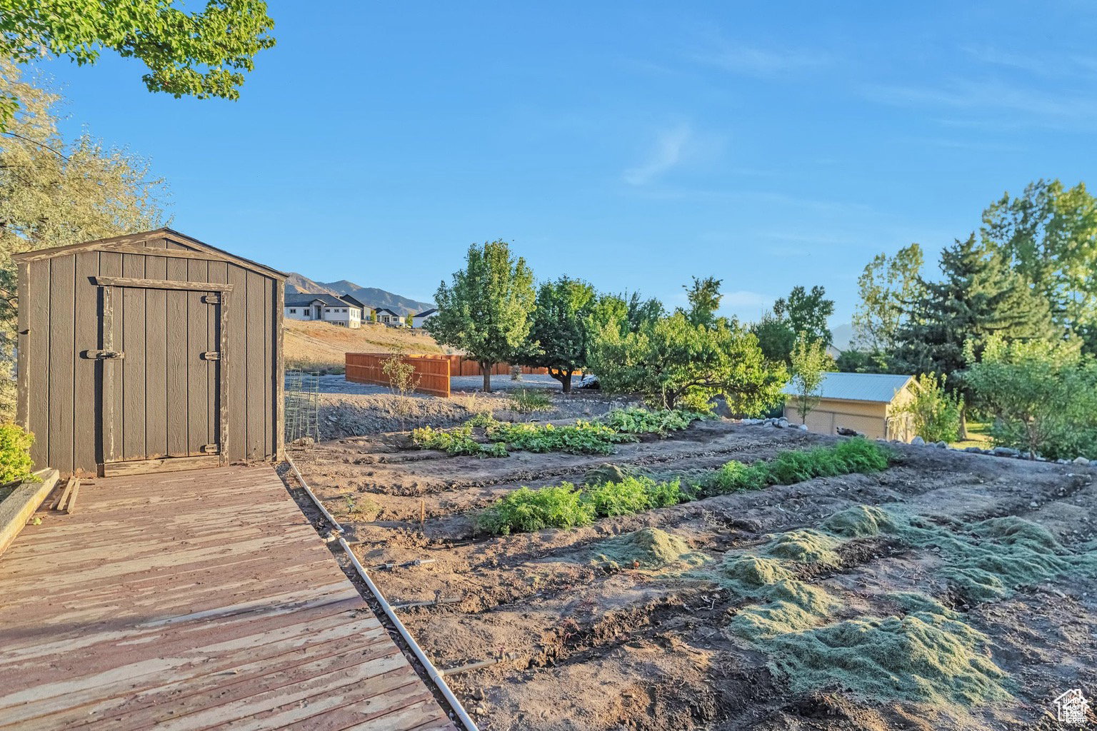 View of yard featuring a shed