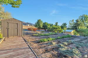 View of yard featuring a shed