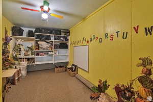 Storage featuring a ceiling fan