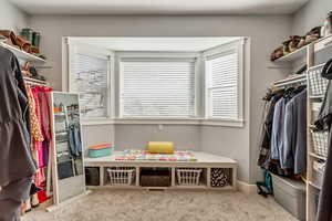 Walk in closet with light carpet